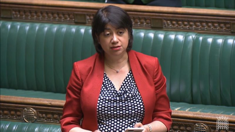 Seema Malhotra in the Chamber of the House of Commons
